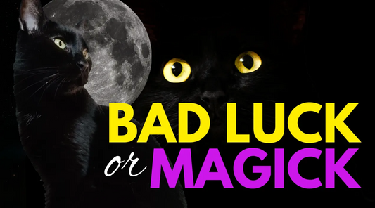 Black Cat Spiritual Meaning: Bad Luck or Alchemy & Magick?
